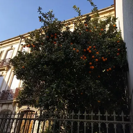 La Maison Bachelet Couette-café Claira