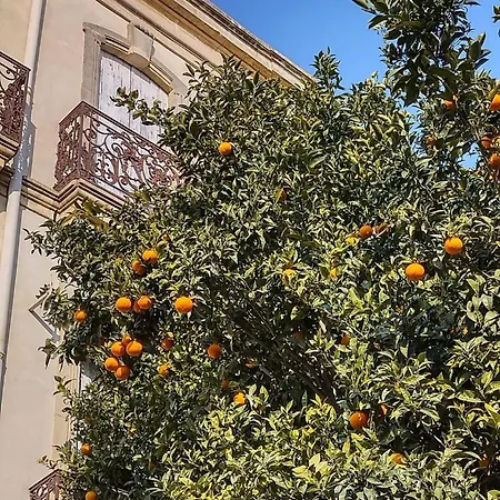 Frühstückspension La Maison Bachelet Claira